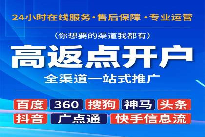 专业SEM服务托管方案案例分析